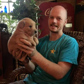 Golden Retriever puppies profile image