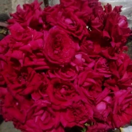 Life 🌸 profile image