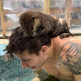 Matt Rife profile image