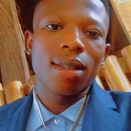 Nnazim uzo Edozie profile image