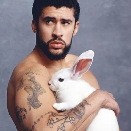 bad bunny profile image