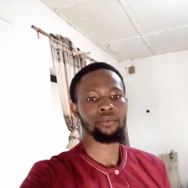 Franklin Chidubem profile image