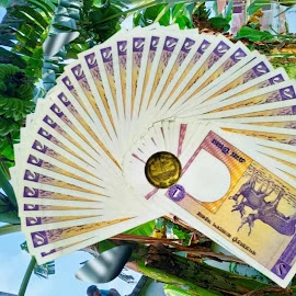 Ashadul Islam profile image