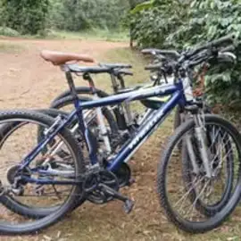 Deo Mwalongo profile image