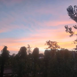 rino ompad profile image