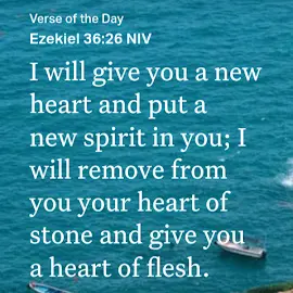 Ramunika Tjikeama profile image