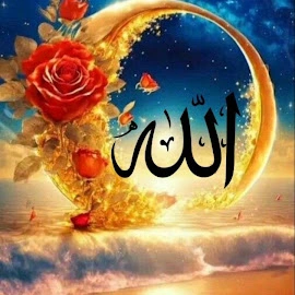 Md Abdul Mojid profile image