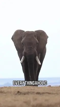 Featured post 2