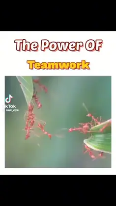 Featured post 4