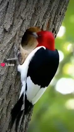 Featured post 2