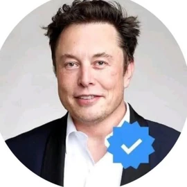 Elon musk profile image