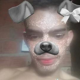 Bernardo Alves profile image