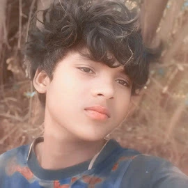 Gajendar Netam profile image