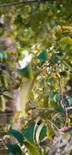 Featured post 2