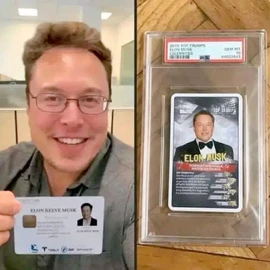 Elon musk profile image