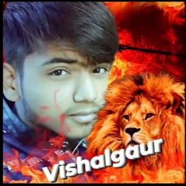 Vishal Gaur profile image