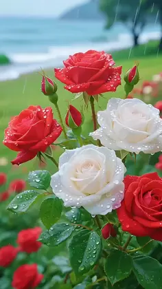 Featured post 3
