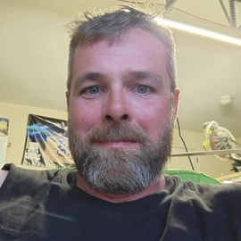 Elon musk profile image