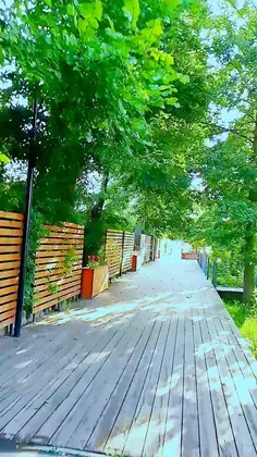 Featured post 7