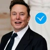 Creator avatar