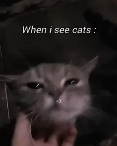 Featured post 1