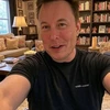 Creator avatar