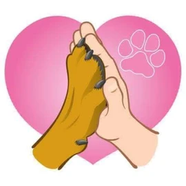 🐩Jessica_k9🐶🐾 profile image