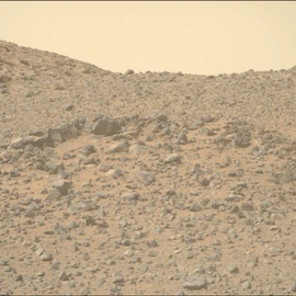 Beverly hills profile image