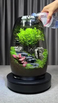 Featured post 1