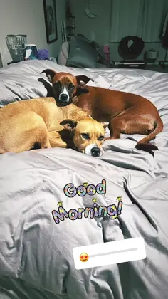 Featured post 1