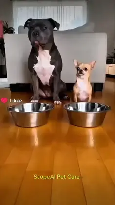 Featured post 1