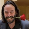 Creator avatar