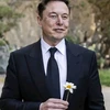 Creator avatar