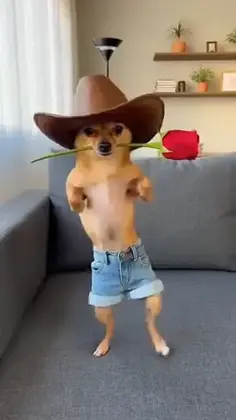 Featured post 5