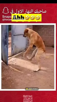 Featured post 3