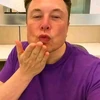 Creator avatar