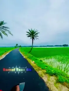Featured post 1