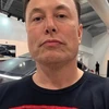 Creator avatar