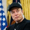 Creator avatar