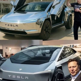 ELON PRIVATE profile image