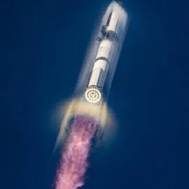 Elon Musk profile image