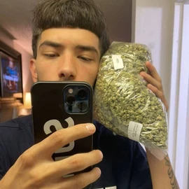 Wild Smoke_Az 💨💯✅ profile image