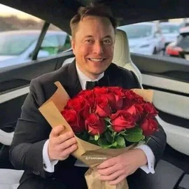 Elon Testa profile image