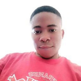 NNAEMEKA MODESTUS profile image