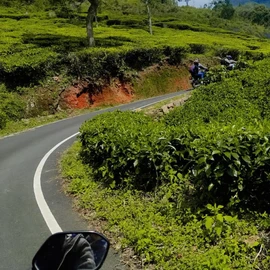 Raju manna profile image