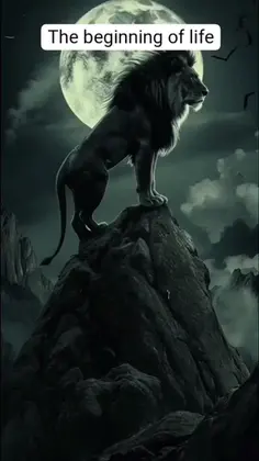 Featured post 1