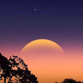 Olivia Brown 🥰🥰 profile image