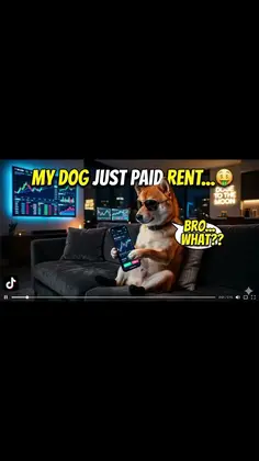 Featured post 2
