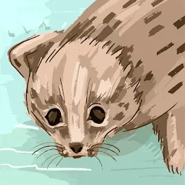 Mugisha Qhasiim profile image