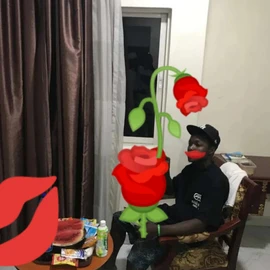 Testimony Pro profile image